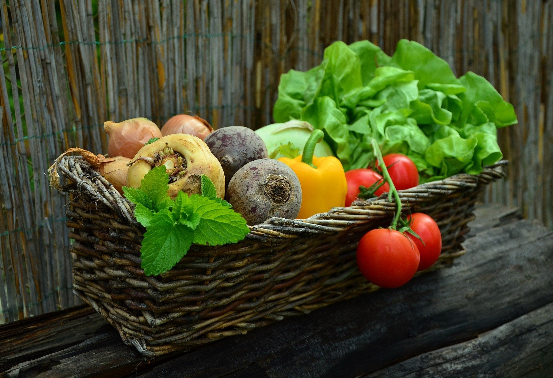 Starting a Garden, the basics to jumpstart and harvest fruits and veggies